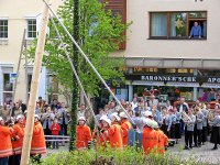 Maibaum